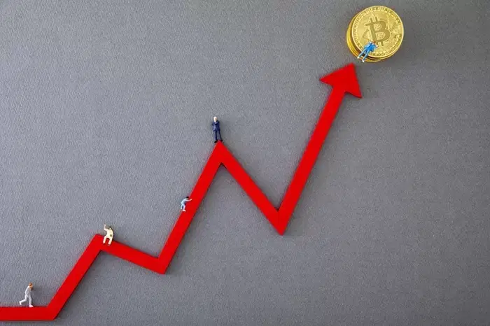 Bitcoin Nears $80,000... Whales Build a $200 Million Buy Wall