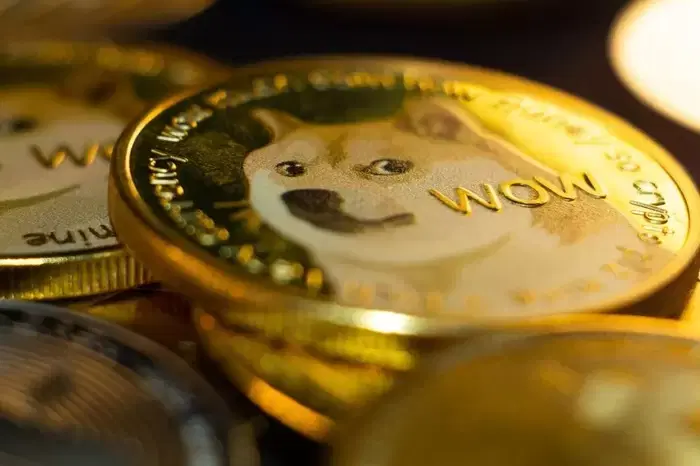 "$100 million flowed in 5 days"...Dogecoin on the verge of explosion due to massive short bets