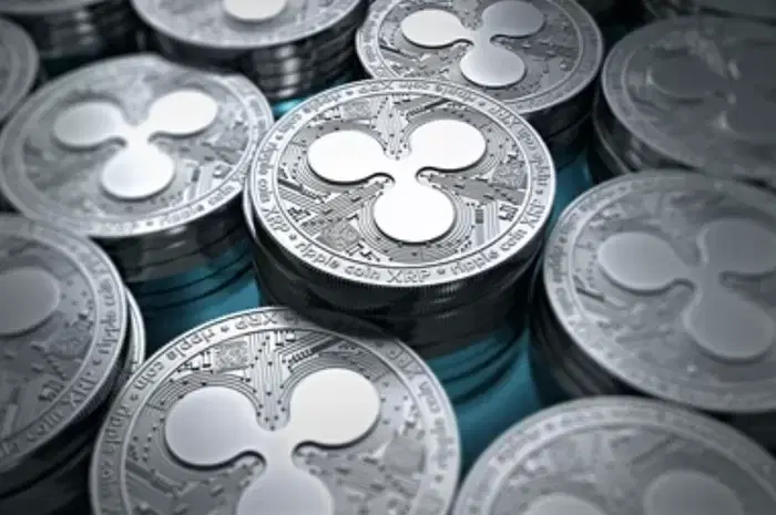 XRP, rally hasn't started yet..."The real rally begins after surpassing 'this point'"