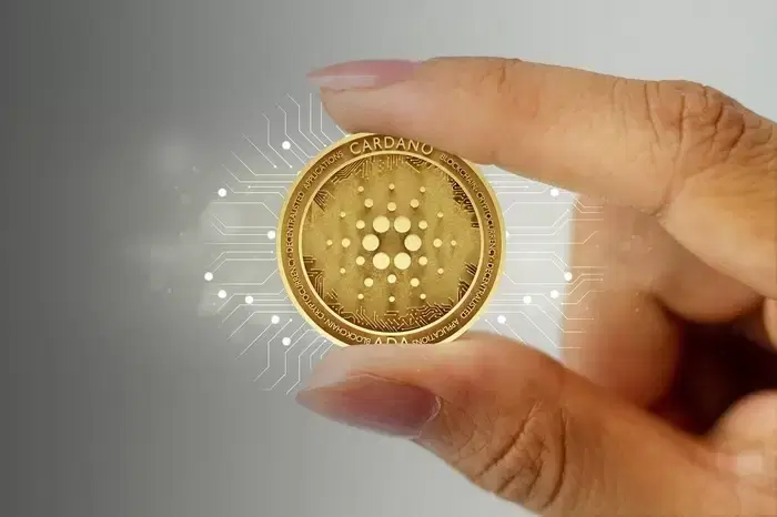 Cardano, Daily Trading Volume Surges 78%..."Preparing for a Dogecoin-level Rally"
