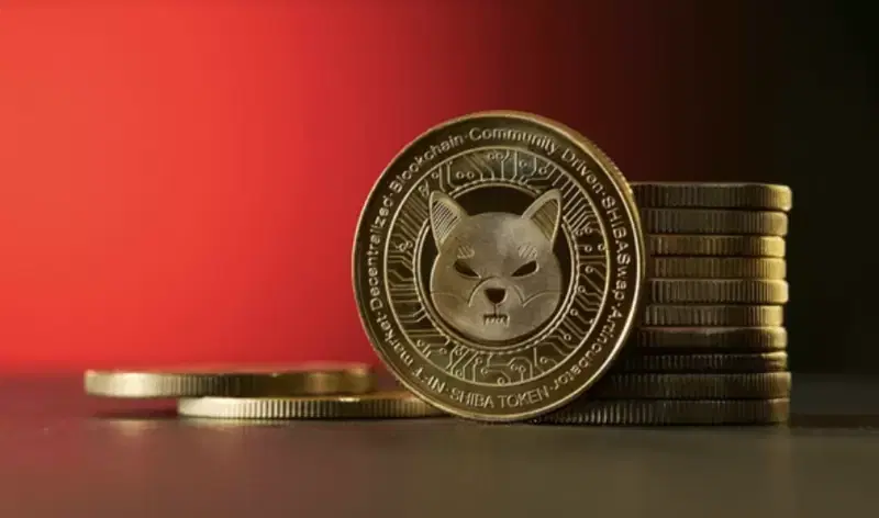 Shiba Inu, 505 Billion Tokens Moved in a Day...A Surge Signal Designed by Whales?