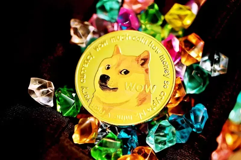 Whales Buy 160 Million DOGE... Dogecoin Sees Large Inflows, Signaling a Surge