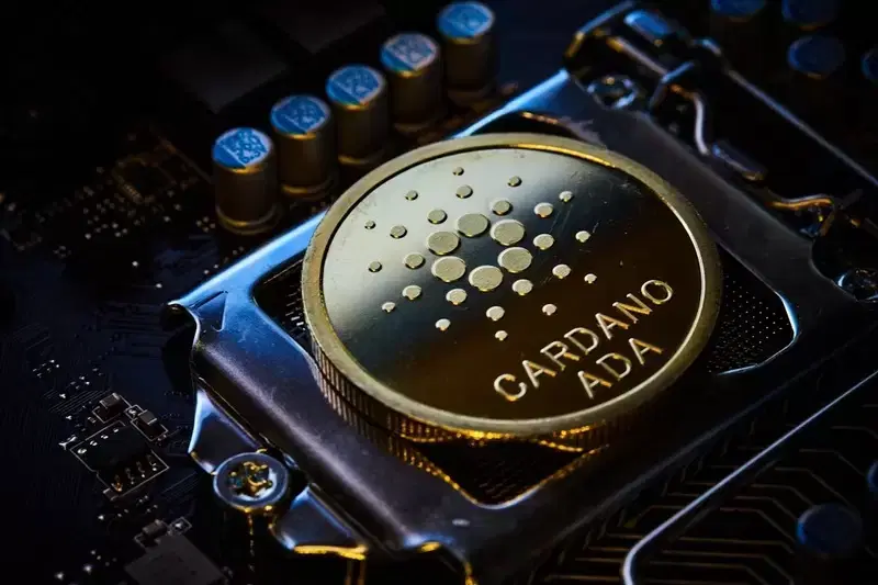 "Cardano, funds draining and collapsing"...Upgrade expectations rendered moot