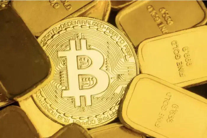 Bitcoin and Gold, which asset should investors focus on now?