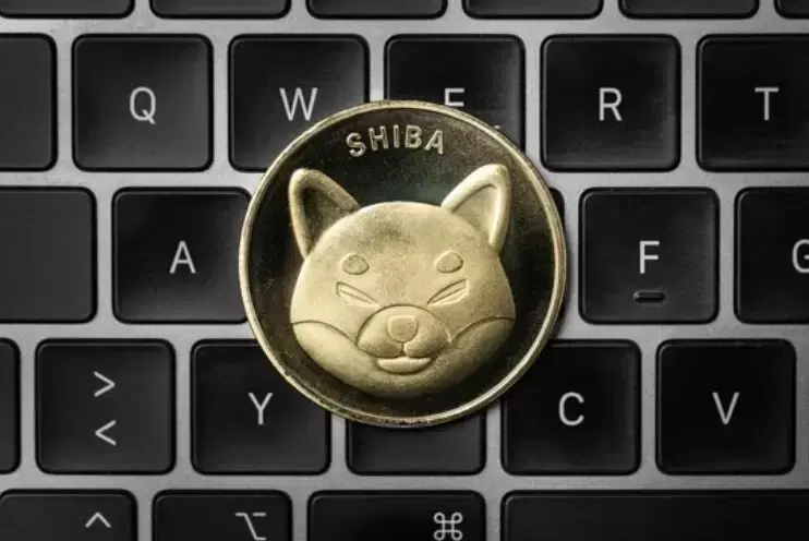 Shiba Inu Marketing Lead Returns After Two-Month Silence...Will it Rebound After a Breather?
